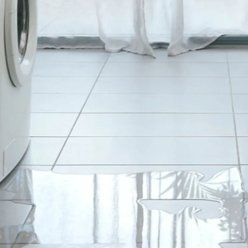 Appliance Leak Cleanup in Niagara, WI