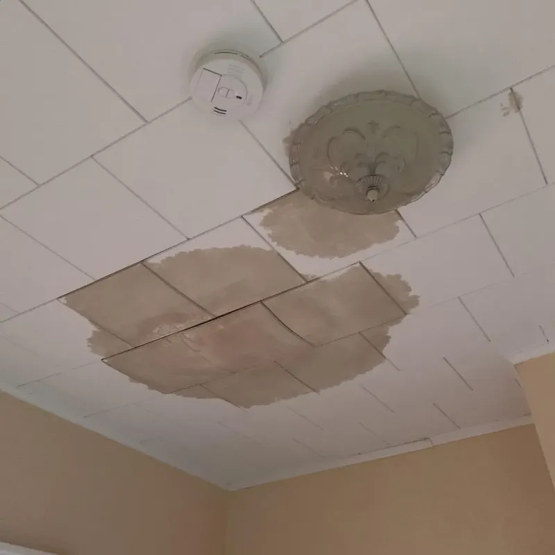Ceiling Water Damage Repair in Niagara, WI