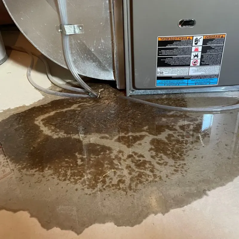 Pipe Burst and Leak Restoration in Niagara, WI