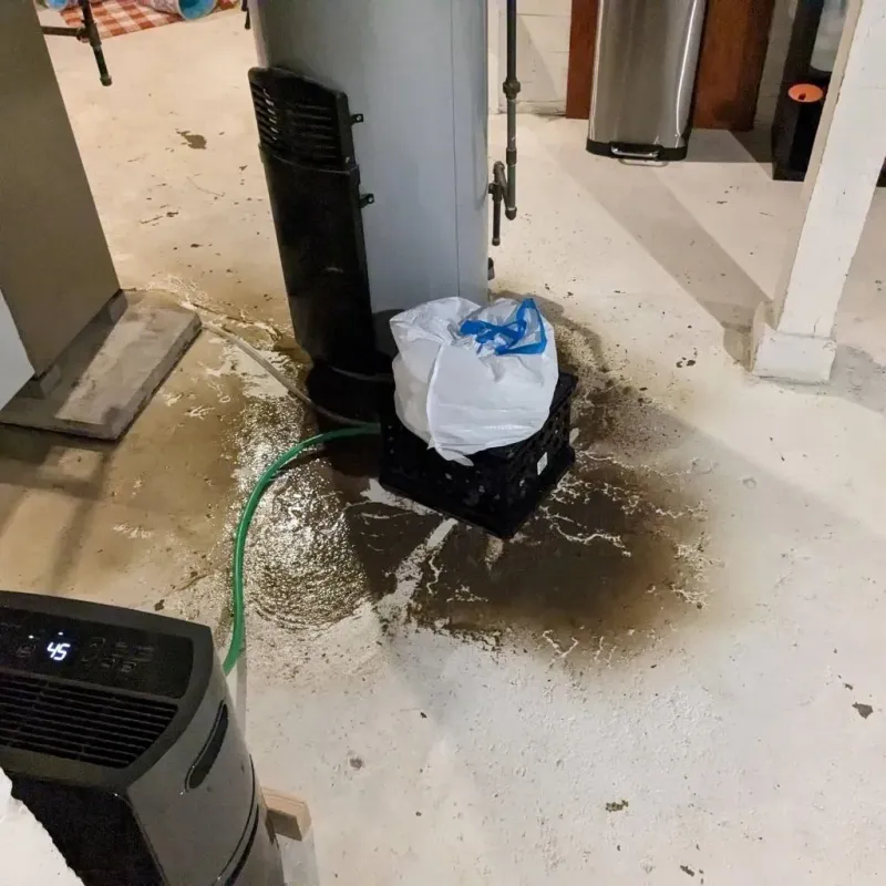 Sewage Backup Cleanup Service in Niagara, WI